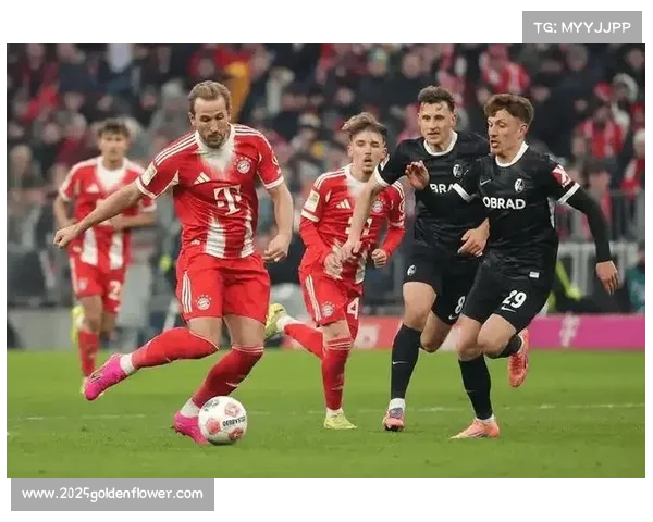 德篮联乌尔姆迎战拜仁，豪门实力碾压客胜可期