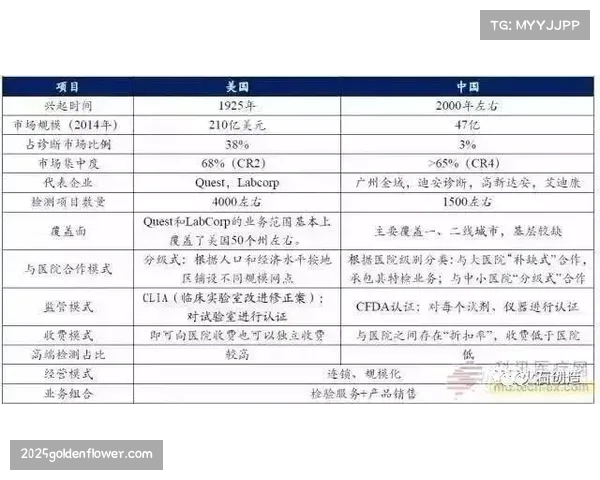 深度报道:财务公平法案审查趋严,意甲中游球队如何通过技术出租平衡账目